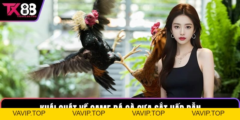 Game Đá Gà Cựa Sắt TX88 Với Các Trận Đấu Kịch Tính