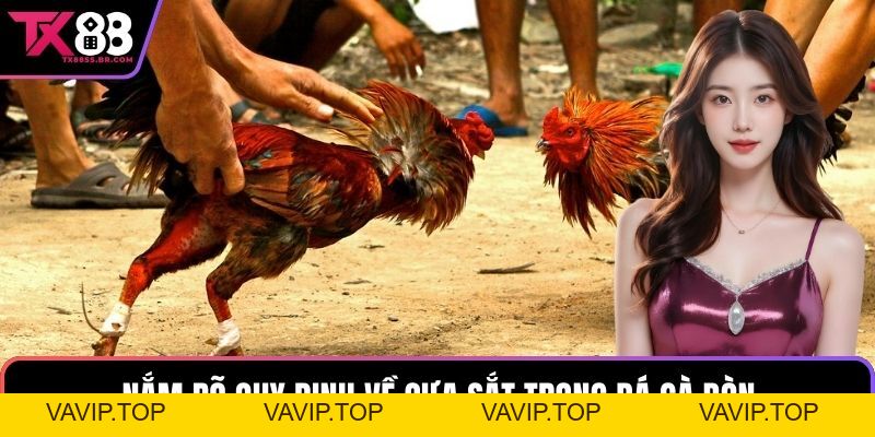 Gà Đá Đòn TX88: Sân Chơi Kịch Tính Với Những Chiến Kê Đỉnh