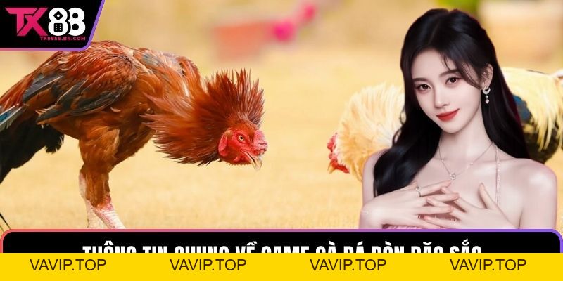 Gà Đá Đòn TX88: Sân Chơi Kịch Tính Với Những Chiến Kê Đỉnh